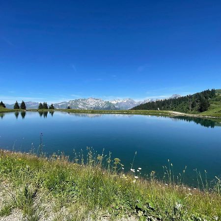 Samoens 1600 Studio Au Pied Des Pistes 外观 照片