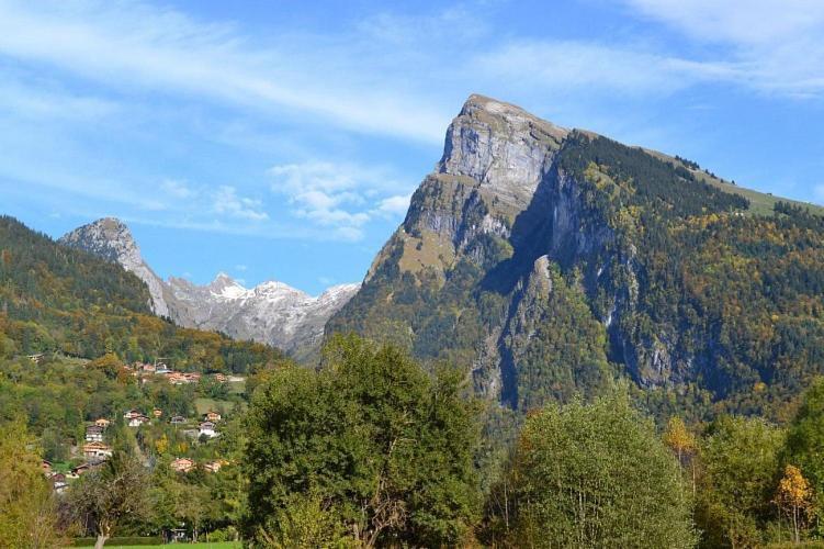 Samoens 1600 Studio Au Pied Des Pistes 外观 照片